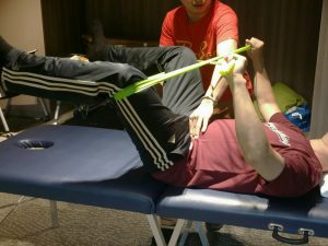 12 Dynamic Neuromuscular Stabilization Course A Workshop 1 - Enhance Physiotherapy